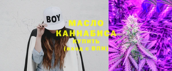 твердый Дмитриев