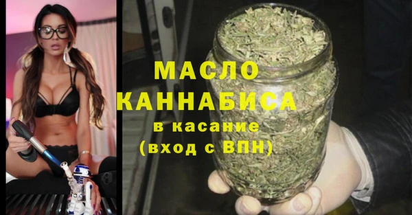 метадон Гусь-Хрустальный