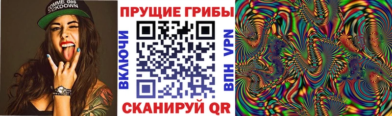 Псилоцибиновые грибы GOLDEN TEACHER  блэк спрут вход  Владикавказ  купить  цена 